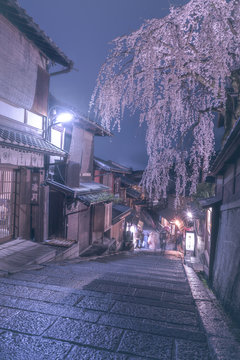 京都三年坂の枝垂れ桜　ライトアップ