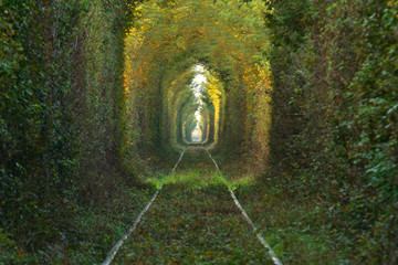 New area of the Natural tunnel of "love" formed by trees in Romania.