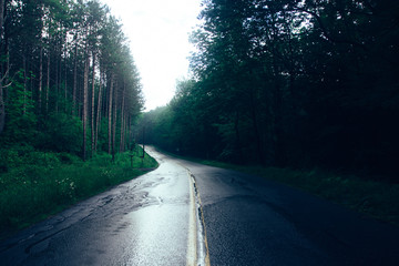 Rainy Road - 146255670