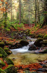 Mountain river in late Autumn, trees in background