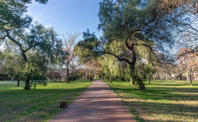 Beautiful landscape of Old dry riverbed of the River Turia gardens, Jardin del Turia, leisure and sport area in Valencia, Spain, trees and running way