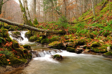 Mountain river in late Autumn with fallen tree