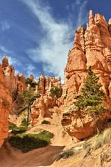 Fototapeta premium Bryce Canyon National Park