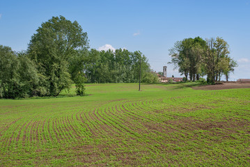paesaggio di campagna
