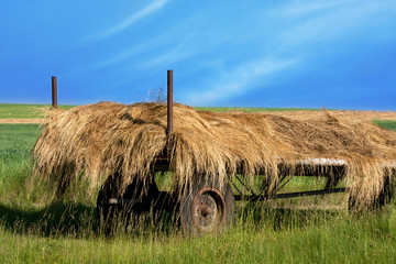 Fototapeta na wymiar Carriage with hay on the field