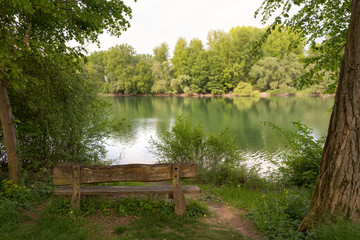 Fototapeta na wymiar Rheininsel Ketsch Naturschutzgebiet