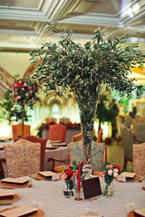 Orange chairs stand at the wooden tables in the restaurant