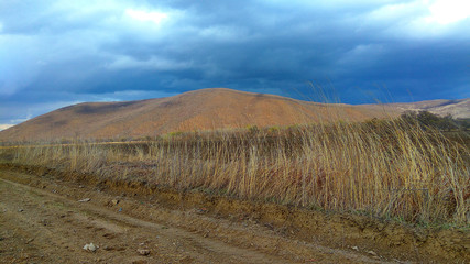 spring, nature, green, natural, woman, table, double, exposure, background, water, beautiful, car, reading, summer, white, portrait, outdoor, man, wood, fashion, young, grass, park, field, forest