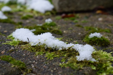 Winter [007]