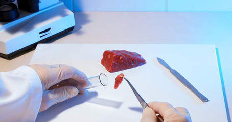 frisches Fleisch wird in einem Labor untersucht