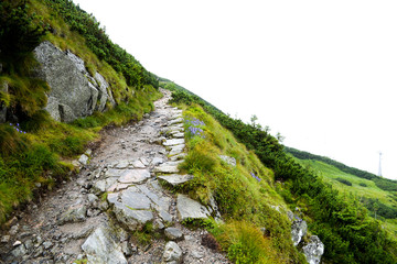 Beautiful Stone Path in High Mountain - Tatra National Park