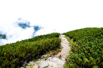 Fototapeta na wymiar Beautiful Stone Path in High Mountain - Tatra National Park