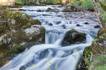 Fototapeta na wymiar Cascade on a mountain river (long exposure photo)