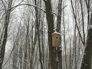 Birdhouse in winter