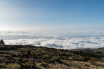 Above the clouds - on the road to Haleakala, Maui