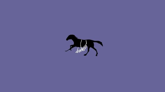 Pegasus Mythological Flying Horse, Seamless loop, hand drawn 2D animation.