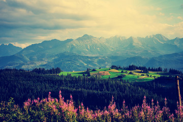 Obrazy na Plexi  Panoramiczny widok na sielankowy krajobraz górski w Tatrach. Z świeżymi Zielonymi Gór Pastwiskami, Kwiaty. Wysokie Tatry. (Filtrowany obraz przetworzony efekt vintage i tło rozmycia ruchu)