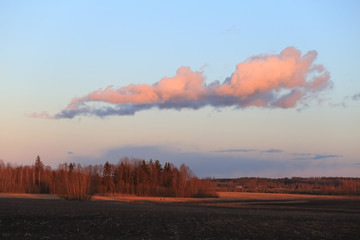 Spring evening landscape