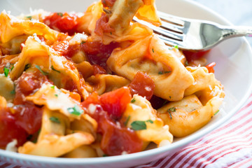Homemade tortellini with tomato sauce