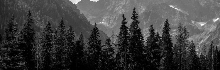 View of Mountain in Summer Time. High Tatras (Black & White). Panoramic Image