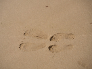 Fototapeta na wymiar Footprints in the sand
