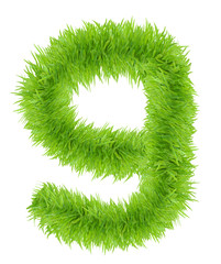 Number Nine made of green grass.