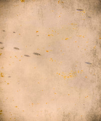 Vintage retro background