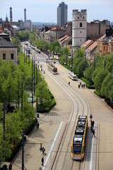 Modern yellow trams on the main street of Debrecen with line of trees at the side in a sunny spring morning, Hungary, Europe