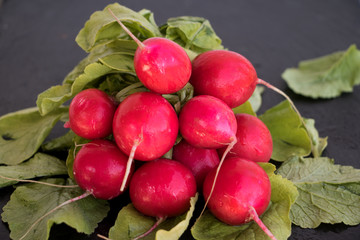 Ein Bund 
Radieschen