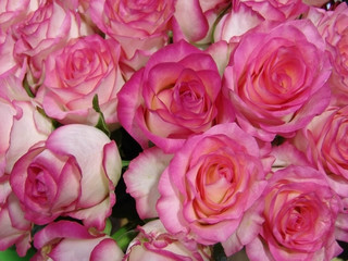 beautiful, valentine, flower, pink, petal, background, love, rose, bunch, romance, bouquet, bloom, closeup, wallpaper, beauty, color, garden, red, nature, image, plant, celebration, head, lot, group, 