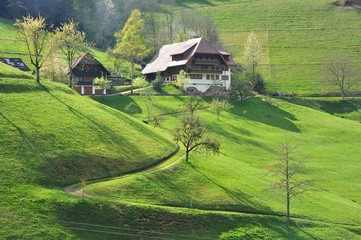 Schwarzwaldbauernhaus am Hang eines grünen Wiesentälchens im Frühling