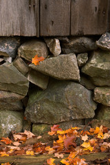 Rock Wall and Leaf