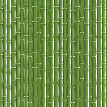 Seamless pattern of green bamboo