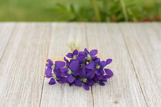Small bouquet of violets on a wooden background