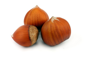 3 hazelnut isolated on white background