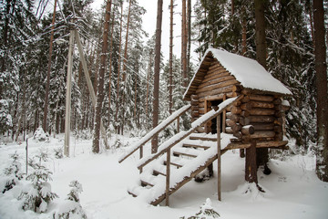 Cottage with a staircase in a winter snow-covered forest