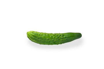 Fresh cucumber on white background with shadow