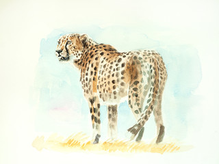 cheetah watercolor painting