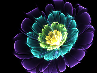 Shine Flower Background   - Fractal Art  