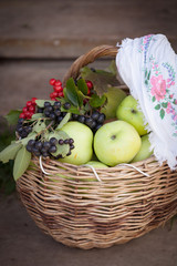 Vintage basket full of fresh organic green apples and berries. Fruit harvest in the garden.