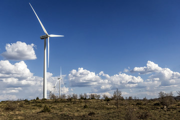 Energía eólica. Molinos de viento