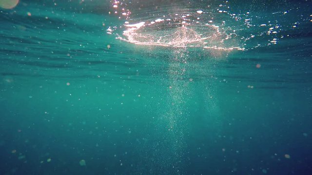 The underwater views of the ocean with its inhabitants - 1