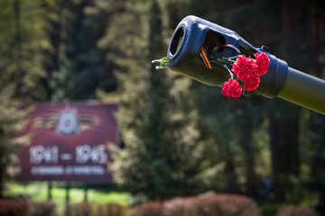 Beautiful flowers in the barrel of the tank. May 9th. Victory day in Russia. Peace in the world. Memorial day