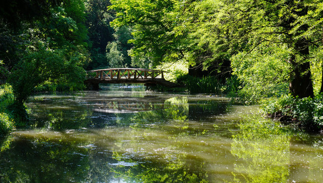 Bridge over pond