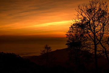 Fototapeta na wymiar Silhouette of trees on sunset time
