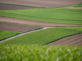 Agrarlandschaft