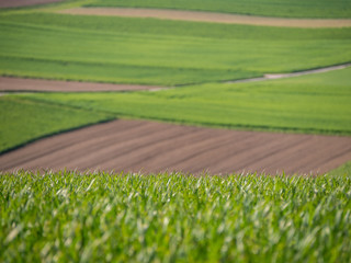 Agrarlandschaft