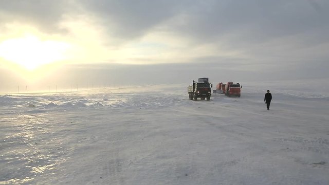 Drivers and birds at winter snow road in Russia, Tundra area, - 4