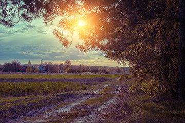 Fototapeta na wymiar Evening rural landscape in spring. Dirt road at sunset. Field and forest