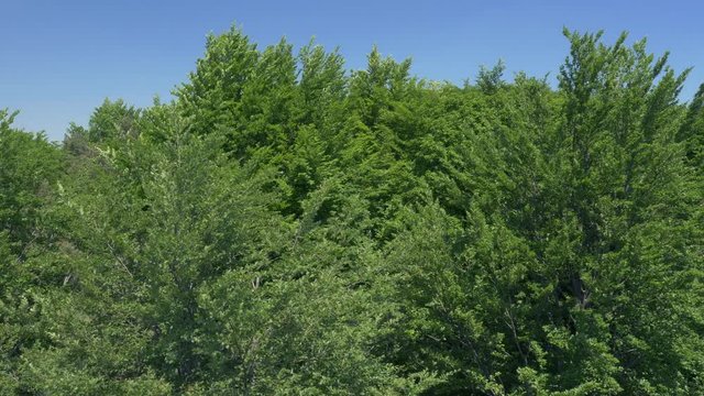 The views of the European modern village near an old town in a natural forested area, aerial, 4K - 6